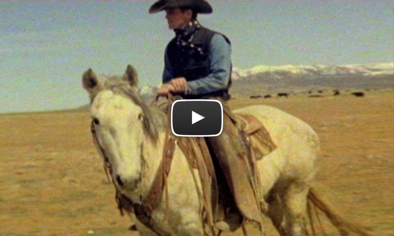 Cowboy (Super 8) by Jane Hilton