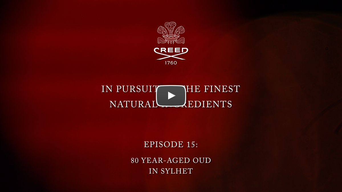 House of Creed presents 'Oud Zarian' by Jane Hilton.