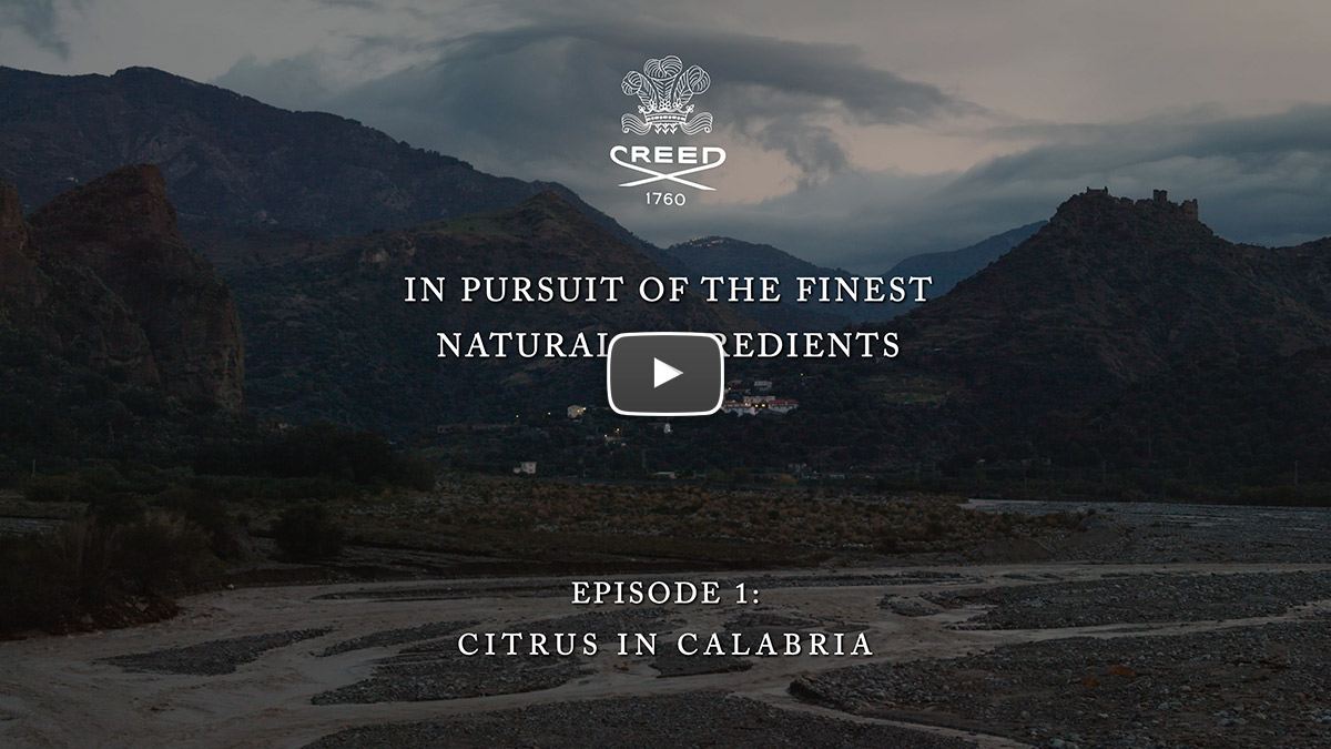 House of Creed presents 'Citrus in Calabria' by Jane Hilton