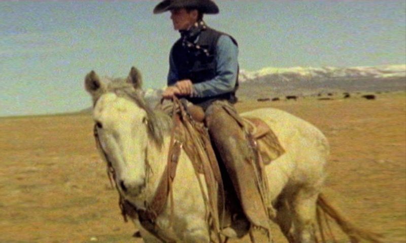 Cowboy (Super 8) by Jane Hilton