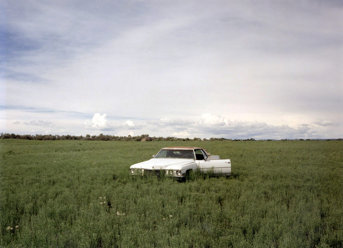 Landscapes by Jane Hilton